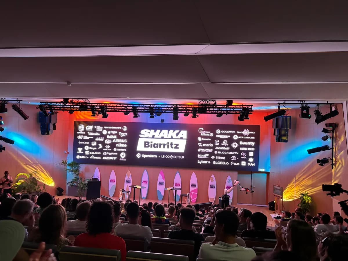 Shaka Biarritz 2024 — festival art et numérique, ArtConfluence présent